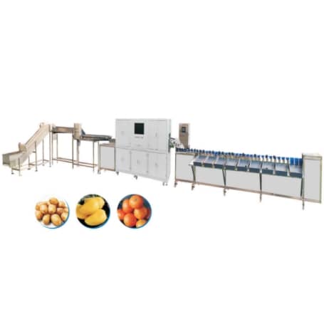 TRAY TYPE FRUIT AND VEGETABLE SORTING MACHINE